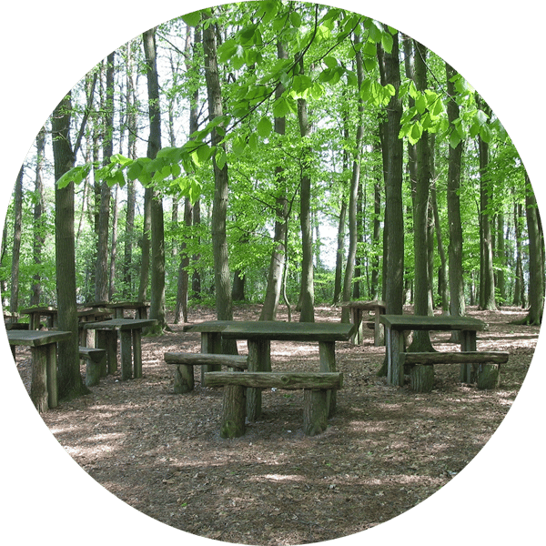 ForestSchoolBlog