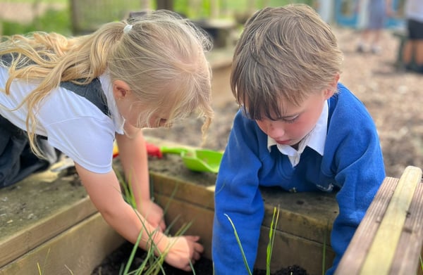Planters for UK schools