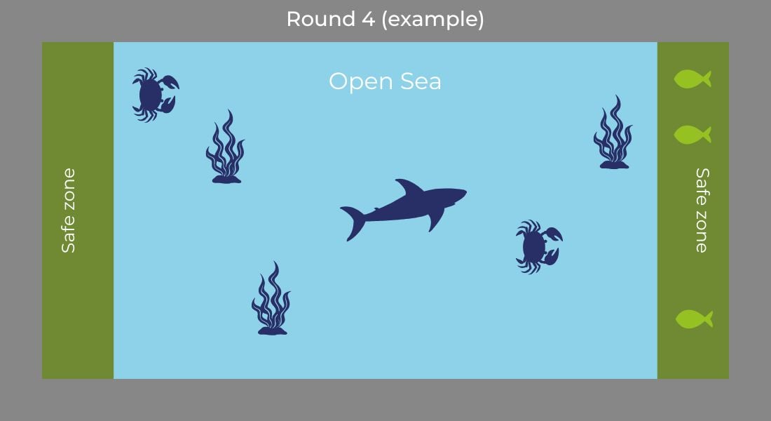 a diagram of sharks mid-game